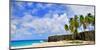 Beach at Bottom Bay, St. Philip, Barbados, Caribbean-null-Mounted Art Print