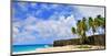 Beach at Bottom Bay, St. Philip, Barbados, Caribbean-null-Mounted Art Print