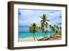 Beach at Bottom Bay, St. Philip, Barbados, Caribbean-null-Framed Art Print