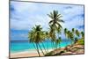 Beach at Bottom Bay, St. Philip, Barbados, Caribbean-null-Mounted Art Print