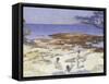 Beach at Cabasson (Baigne-Cul), 1891-92-Henri-Edmond Cross-Framed Stretched Canvas