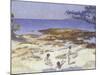 Beach at Cabasson (Baigne-Cul), 1891-92-Henri-Edmond Cross-Mounted Giclee Print