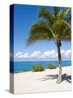 Beach at Chankanaab Park, Isla De Cozumel, Cozumel, Off the Yucatan, Mexico-Michael DeFreitas-Stretched Canvas