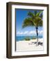 Beach at Chankanaab Park, Isla De Cozumel, Cozumel, Off the Yucatan, Mexico-Michael DeFreitas-Framed Premium Photographic Print