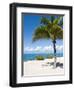 Beach at Chankanaab Park, Isla De Cozumel, Cozumel, Off the Yucatan, Mexico-Michael DeFreitas-Framed Premium Photographic Print