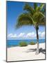 Beach at Chankanaab Park, Isla De Cozumel, Cozumel, Off the Yucatan, Mexico-Michael DeFreitas-Mounted Premium Photographic Print