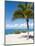 Beach at Chankanaab Park, Isla De Cozumel, Cozumel, Off the Yucatan, Mexico-Michael DeFreitas-Mounted Photographic Print