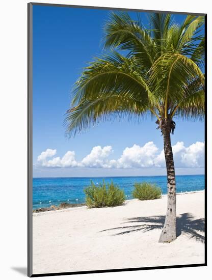 Beach at Chankanaab Park, Isla De Cozumel, Cozumel, Off the Yucatan, Mexico-Michael DeFreitas-Mounted Photographic Print