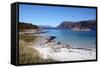 Beach at Gasvaer, Kvalfjord, Troms, North Norway, Norway, Scandinavia, Europe-David Lomax-Framed Stretched Canvas