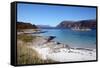 Beach at Gasvaer, Kvalfjord, Troms, North Norway, Norway, Scandinavia, Europe-David Lomax-Framed Stretched Canvas