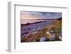 Beach at Green Point in Gros Morne National Park on the West Coast, Newfoundland, Canada-null-Framed Art Print