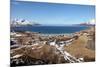 Beach at Grotfjord, Kvaloya (Whale Island), Troms, Norway, Scandinavia, Europe-David Lomax-Mounted Photographic Print