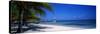 Beach at Half Moon Hotel, Montego Bay, Jamaica-null-Stretched Canvas