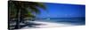 Beach at Half Moon Hotel, Montego Bay, Jamaica-null-Stretched Canvas