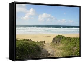 Beach at Hawks Nest, New South Wales, Australia, Pacific-null-Framed Stretched Canvas