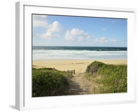 Beach at Hawks Nest, New South Wales, Australia, Pacific-null-Framed Photographic Print