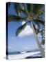 Beach at Kailua-Kona, Island of Hawaii (Big Island), Hawaii, USA-Ethel Davies-Stretched Canvas