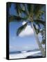 Beach at Kailua-Kona, Island of Hawaii (Big Island), Hawaii, USA-Ethel Davies-Framed Stretched Canvas