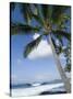 Beach at Kailua-Kona, Island of Hawaii (Big Island), Hawaii, USA-Ethel Davies-Stretched Canvas