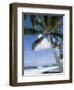 Beach at Kailua-Kona, Island of Hawaii (Big Island), Hawaii, USA-Ethel Davies-Framed Photographic Print