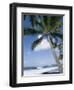 Beach at Kailua-Kona, Island of Hawaii (Big Island), Hawaii, USA-Ethel Davies-Framed Photographic Print