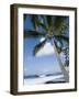 Beach at Kailua-Kona, Island of Hawaii (Big Island), Hawaii, USA-Ethel Davies-Framed Photographic Print