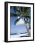 Beach at Kailua-Kona, Island of Hawaii (Big Island), Hawaii, USA-Ethel Davies-Framed Photographic Print