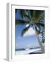 Beach at Kailua-Kona, Island of Hawaii (Big Island), Hawaii, USA-Ethel Davies-Framed Photographic Print