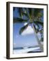 Beach at Kailua-Kona, Island of Hawaii (Big Island), Hawaii, USA-Ethel Davies-Framed Photographic Print