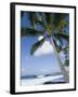 Beach at Kailua-Kona, Island of Hawaii (Big Island), Hawaii, USA-Ethel Davies-Framed Photographic Print