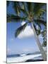 Beach at Kailua-Kona, Island of Hawaii (Big Island), Hawaii, USA-Ethel Davies-Mounted Photographic Print