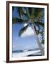 Beach at Kailua-Kona, Island of Hawaii (Big Island), Hawaii, USA-Ethel Davies-Framed Photographic Print