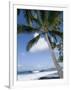 Beach at Kailua-Kona, Island of Hawaii (Big Island), Hawaii, USA-Ethel Davies-Framed Photographic Print