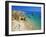 Beach at Lagos, Algarve, Portugal, Europe-Papadopoulos Sakis-Framed Photographic Print