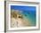 Beach at Lagos, Algarve, Portugal, Europe-Papadopoulos Sakis-Framed Photographic Print