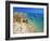 Beach at Lagos, Algarve, Portugal, Europe-Papadopoulos Sakis-Framed Photographic Print