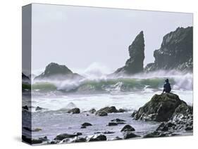 Beach at Lappish, Olympic National Park, Washington, USA-Charles Sleicher-Stretched Canvas