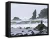 Beach at Lappish, Olympic National Park, Washington, USA-Charles Sleicher-Framed Stretched Canvas