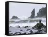 Beach at Lappish, Olympic National Park, Washington, USA-Charles Sleicher-Framed Stretched Canvas