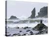 Beach at Lappish, Olympic National Park, Washington, USA-Charles Sleicher-Stretched Canvas