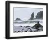 Beach at Lappish, Olympic National Park, Washington, USA-Charles Sleicher-Framed Photographic Print