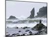 Beach at Lappish, Olympic National Park, Washington, USA-Charles Sleicher-Mounted Photographic Print