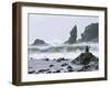 Beach at Lappish, Olympic National Park, Washington, USA-Charles Sleicher-Framed Photographic Print