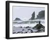 Beach at Lappish, Olympic National Park, Washington, USA-Charles Sleicher-Framed Photographic Print