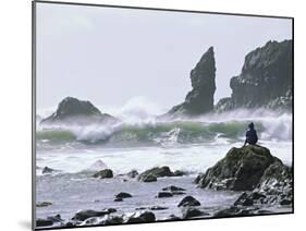 Beach at Lappish, Olympic National Park, Washington, USA-Charles Sleicher-Mounted Photographic Print