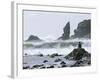 Beach at Lappish, Olympic National Park, Washington, USA-Charles Sleicher-Framed Photographic Print