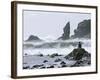 Beach at Lappish, Olympic National Park, Washington, USA-Charles Sleicher-Framed Photographic Print