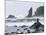 Beach at Lappish, Olympic National Park, Washington, USA-Charles Sleicher-Mounted Photographic Print