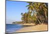 Beach at Las Terrenas, Samana Peninsula, Dominican Republic, West Indies, Caribbean-Jane Sweeney-Mounted Photographic Print