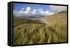 Beach at Luskentyre with Dune Grasses Blowing-Lee Frost-Framed Stretched Canvas